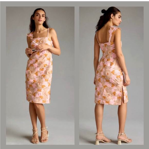 NWT Anthropologie 3D Floral Embroidered Midi Dress Size 14 Blush Asymmetric